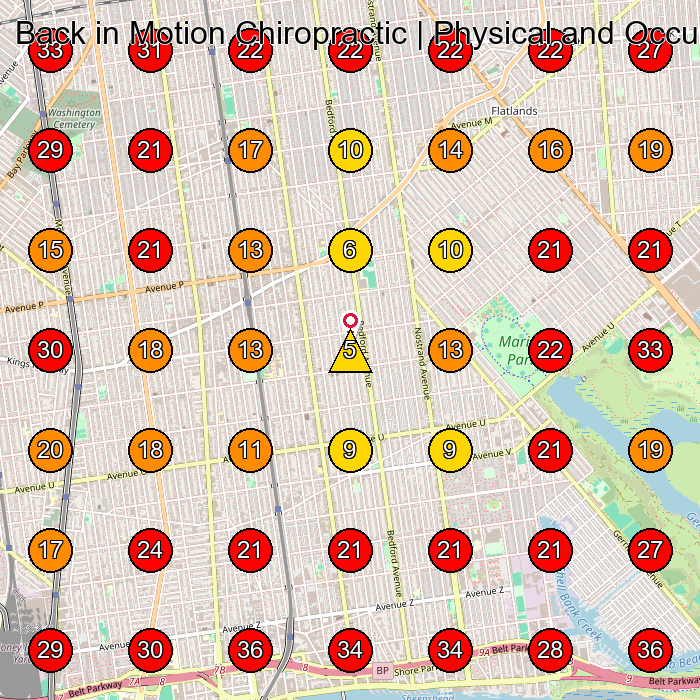 Back in Motion Chiropractic | Physical and Occupational Therapy GeoGrid visibility map for Sportwear Manufacturer in Brooklyn