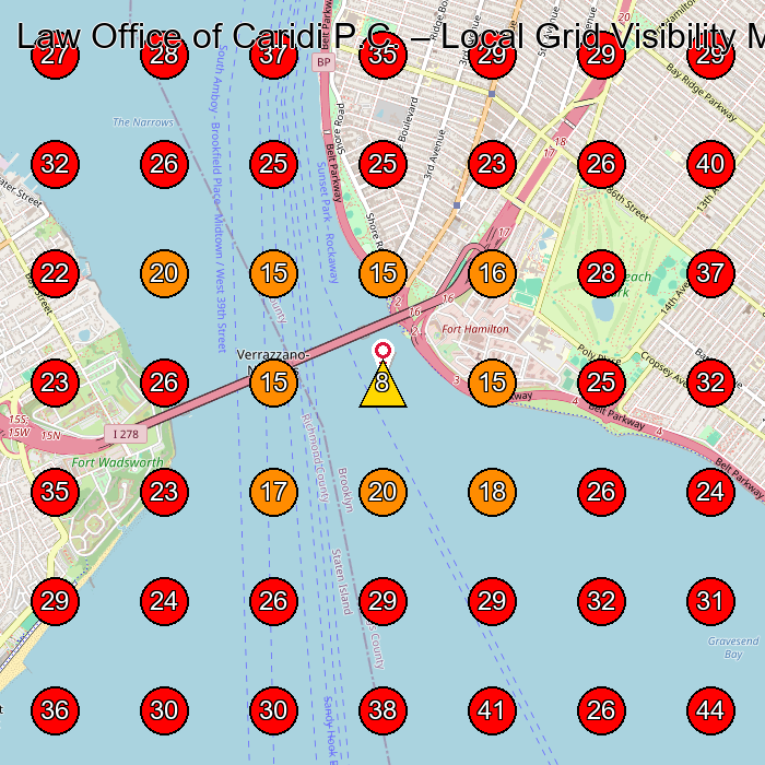 Law Office of Caridi P.C. GeoGrid visibility map for Law Firm in Brooklyn