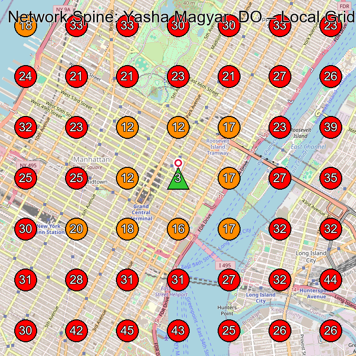 Network Spine: Yasha Magyar, DO GeoGrid visibility map for Physical Therapy Clinic in New York