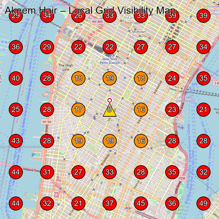 Akeem Hair GeoGrid visibility map for Hairdresser in 119 W 23rd St