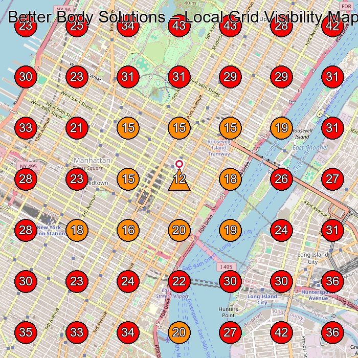 Better Body Solutions GeoGrid visibility map for Physical Therapy Clinic in New York