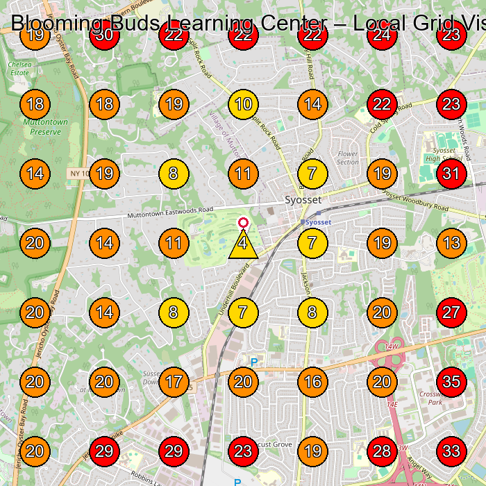 Blooming Buds Learning Center GeoGrid visibility map for Preschool in Syosset
