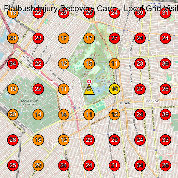 Flatbush Injury Recovery Care GeoGrid visibility map for Physical Therapist in None