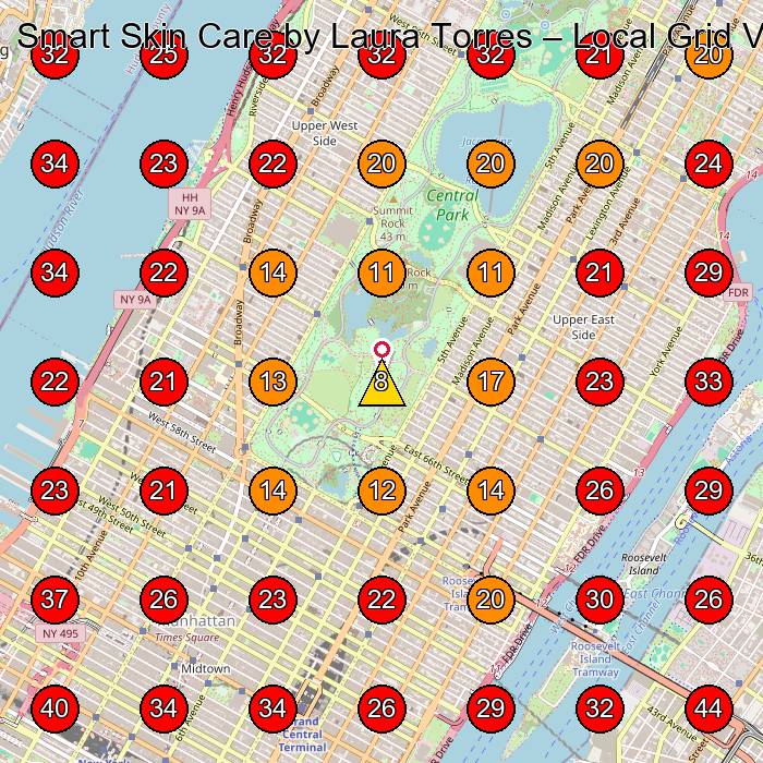 Smart Skin Care by Laura Torres GeoGrid visibility map for Attractions in New York