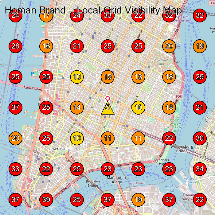 Homan Brand GeoGrid visibility map for Hair Salon in New York