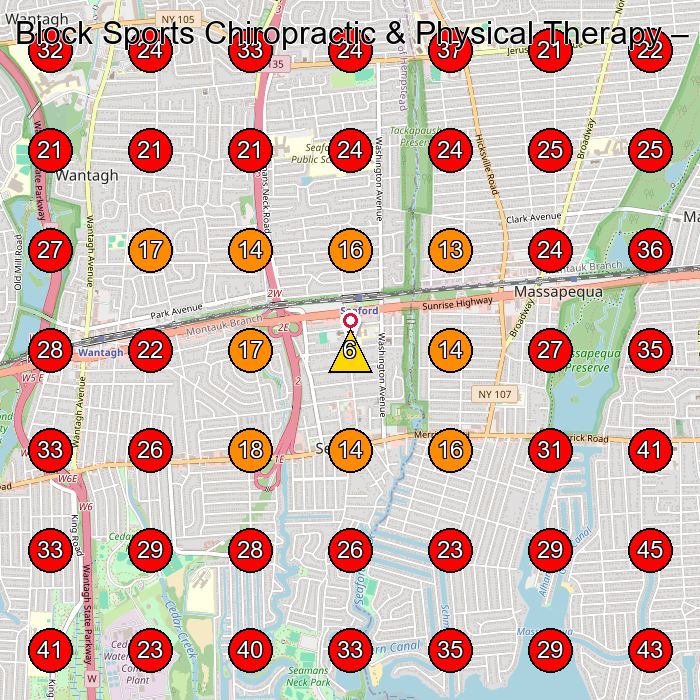 Block Sports Chiropractic & Physical Therapy GeoGrid visibility map for Chiropractor in Massapequa