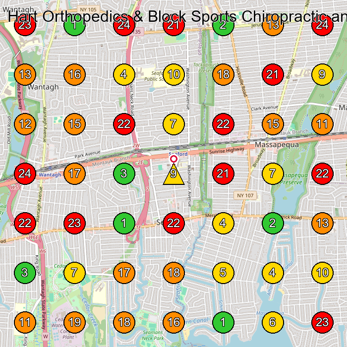 Hart Orthopedics & Block Sports Chiropractic and Physical Therapy (Formerly Massapequa Pain Management & Rehabilitation) Chiropractor GeoGrid ranking map for Massapequa NY