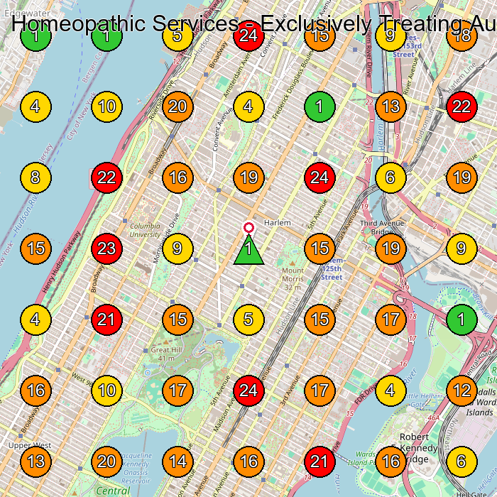 Homeopathic Services - Exclusively Treating Autism Homeopath GeoGrid ranking map for New York NY