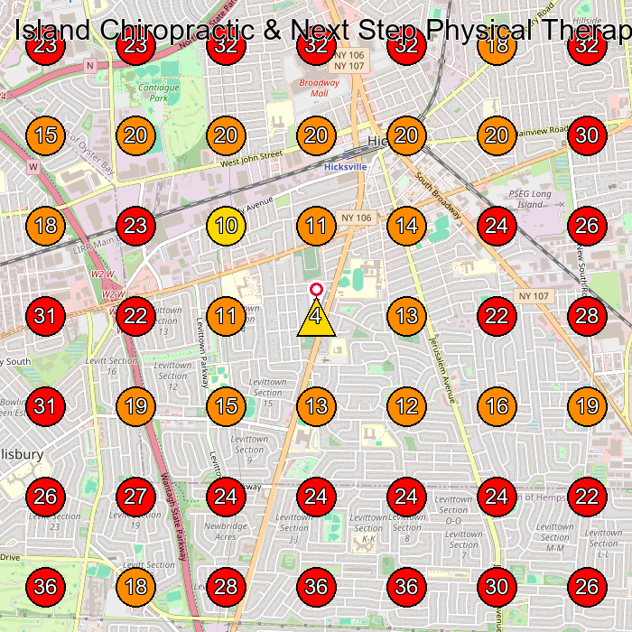 Island Chiropractic & Next Step Physical Therapy of Hicksville GeoGrid visibility map for Physical Therapist in Hicksville