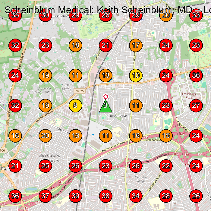 Scheinblum Medical: Keith Scheinblum, MD GeoGrid visibility map for Medical Spa in Syosset