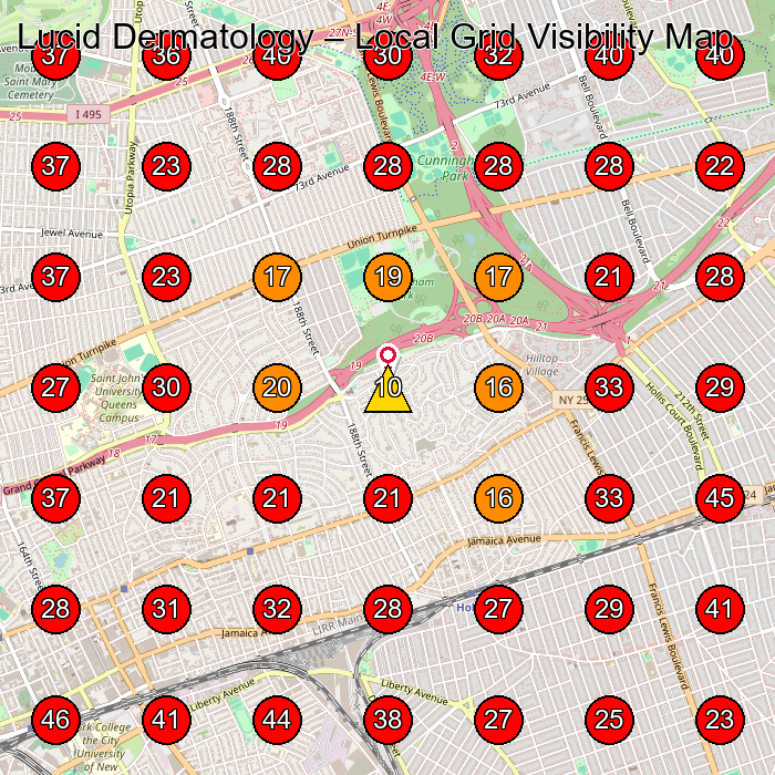 Lucid Dermatology GeoGrid visibility map for Skin Care Clinic in Jamaica