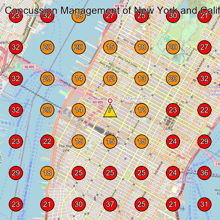 Concussion Management of New York and California GeoGrid visibility map for Physical Therapist in New York