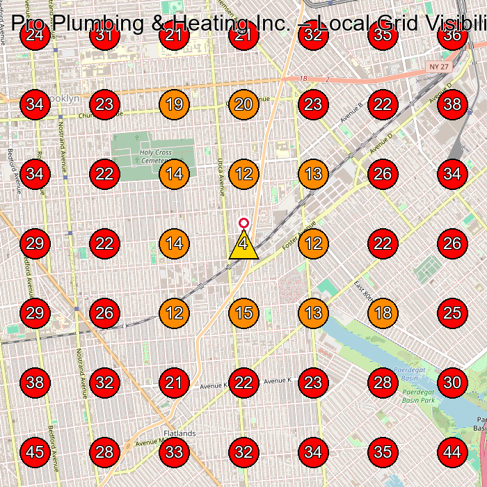 Pro Plumbing & Heating Inc. GeoGrid visibility map for Plumber in Brooklyn