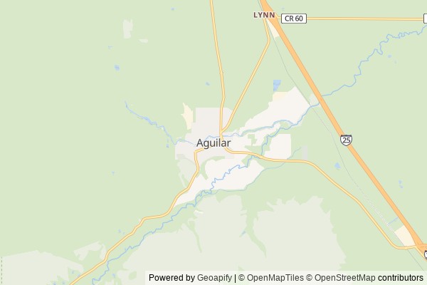 Aguilar digital marketing agency - Local SEO in Aguilar CO - GeoGrid map of Aguilar NY visibility
