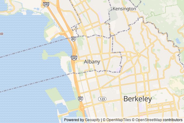 Albany digital marketing agency - Local SEO in Albany CA - GeoGrid map of Albany NY visibility