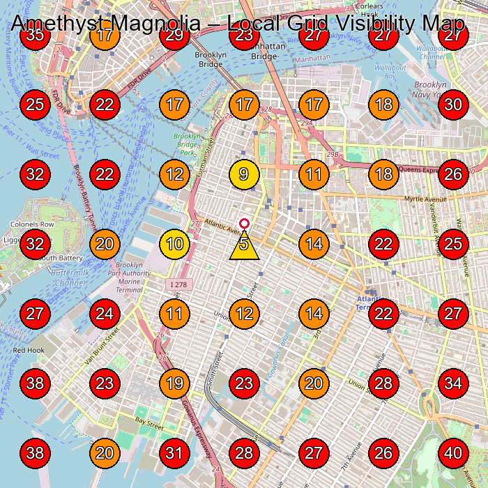 Amethyst Magnolia GeoGrid visibility map for Spa in 1 Boerum Pl Suite 226