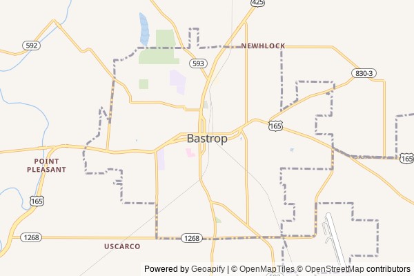 Bastrop digital marketing agency - Local SEO in Bastrop LA - GeoGrid map of Bastrop NY visibility