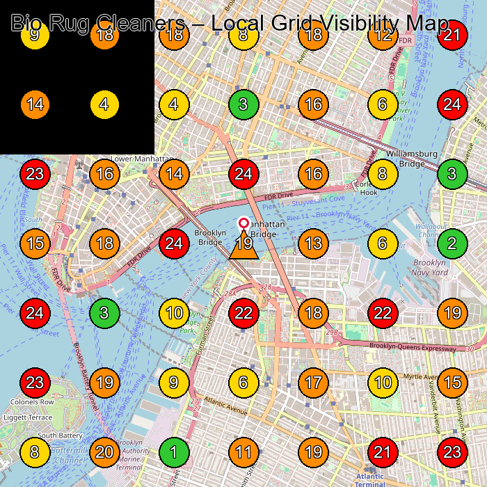 Bio Rug Cleaners Carpet Cleaning Service GeoGrid ranking map for New York NY