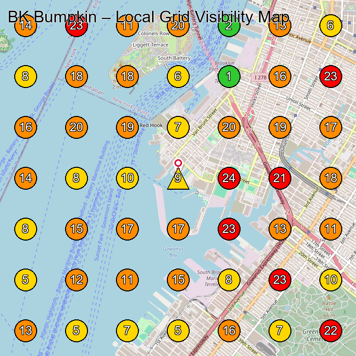 BK Bumpkin Landscaper GeoGrid ranking map for Brooklyn NY