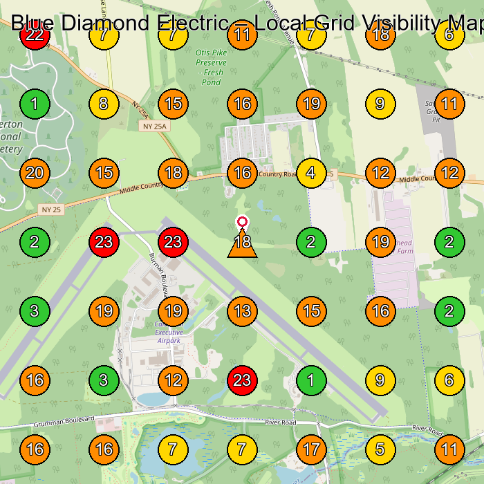 Blue Diamond Electric Electrician GeoGrid ranking map for None