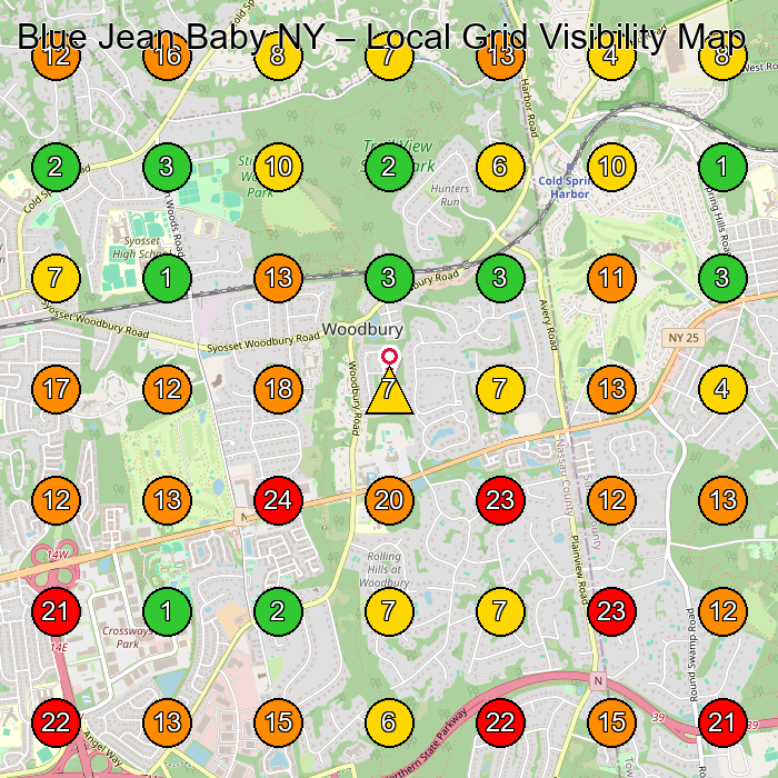 Blue Jean Baby NY Children'S Clothing Store GeoGrid ranking map for Woodbury NY