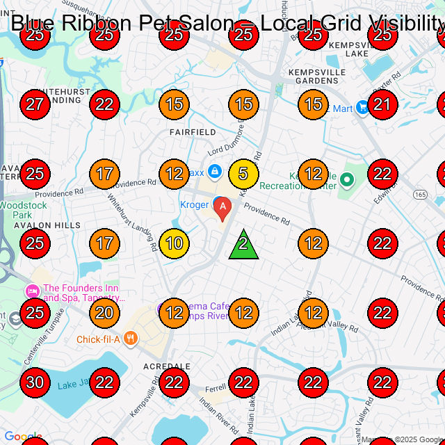 Blue Ribbon Pet Salon Pet Groomer GeoGrid ranking map for Virginia Beach VA
