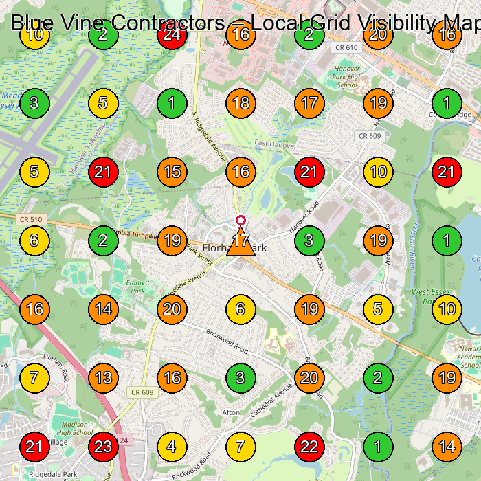 Blue Vine Contractors Construction Company GeoGrid ranking map for None