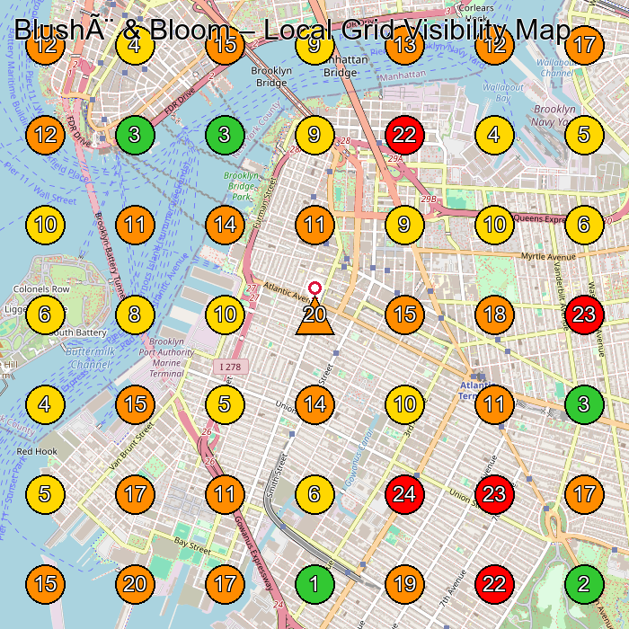 BlushÃ¨ & Bloom Spa GeoGrid ranking map for 1 Boerum Pl Suite 226 Brooklyn