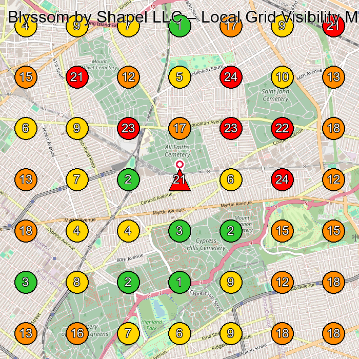 Blyssom by Shapel LLC Health And Beauty Shop GeoGrid ranking map for None