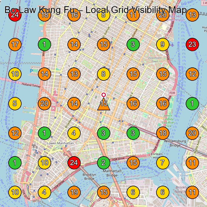 Bo Law Kung Fu Kung Fu School GeoGrid ranking map for New York NY