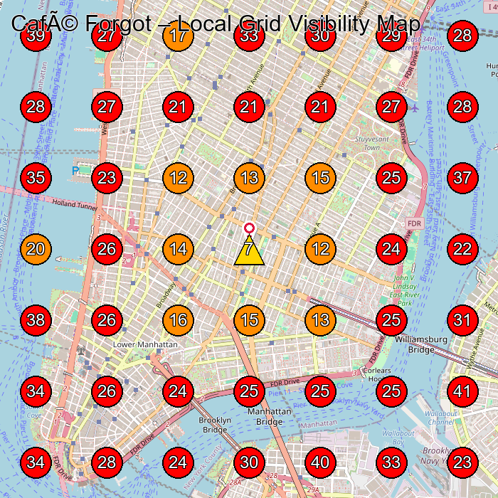 CafÃ© Forgot GeoGrid visibility map for Clothing Store in New York
