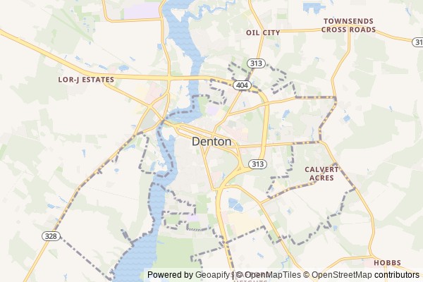 Denton digital marketing agency - Local SEO in Denton MD - GeoGrid map of Denton NY visibility