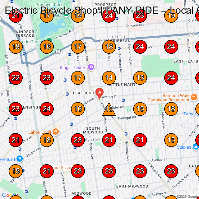 Electric Bicycle Shop | FANY RIDE GeoGrid visibility map for Bicycle Store in Brooklyn
