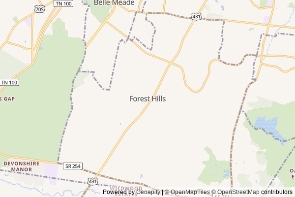 Forest Hills digital marketing agency - Local SEO in Forest Hills TN - GeoGrid map of Forest Hills NY visibility