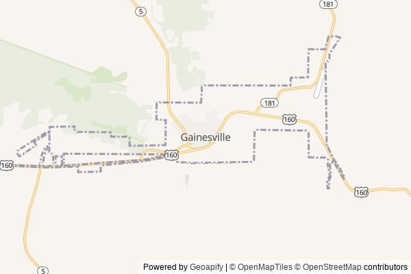 Gainesville digital marketing agency - Local SEO in Gainesville MO - GeoGrid map of Gainesville NY visibility