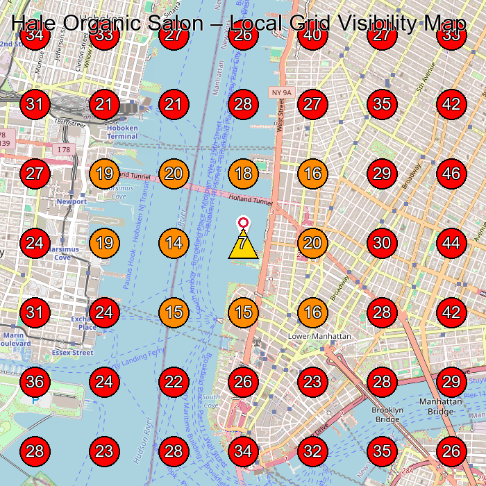 Hale Organic Salon GeoGrid visibility map for Hair Salon in New York