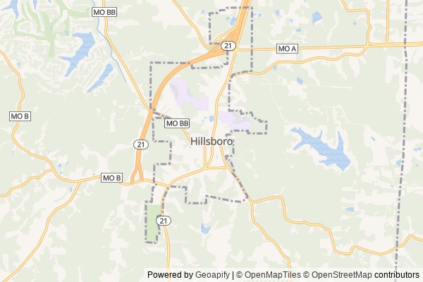 Hillsboro digital marketing agency - Local SEO in Hillsboro MO - GeoGrid map of Hillsboro NY visibility