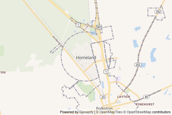 Homeland digital marketing agency - Local SEO in Homeland GA - GeoGrid map of Homeland NY visibility