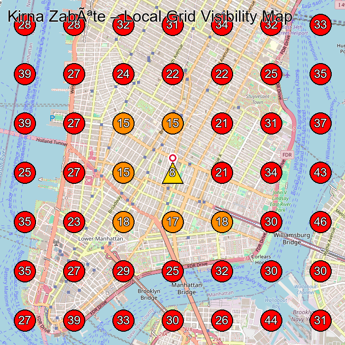Kirna ZabÃªte GeoGrid visibility map for Boutique in New York