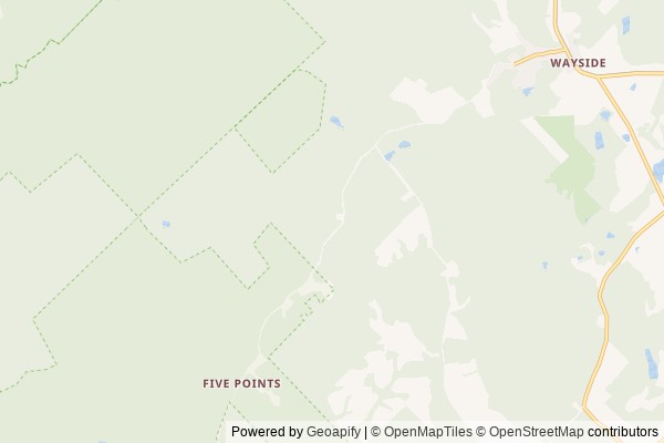 Lavonia digital marketing agency - Local SEO in Lavonia GA - GeoGrid map of Lavonia NY visibility