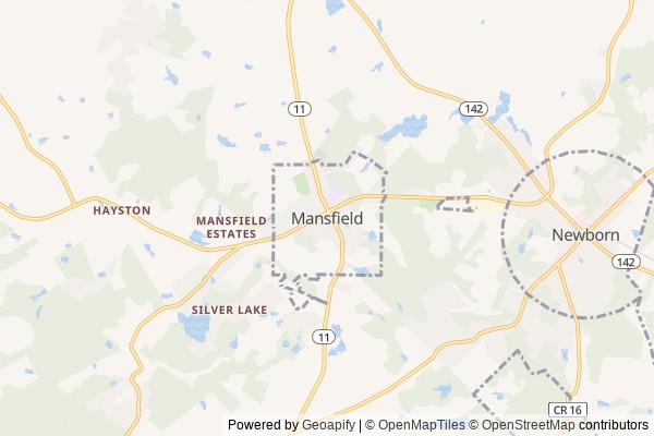 Mansfield digital marketing agency - Local SEO in Mansfield GA - GeoGrid map of Mansfield NY visibility