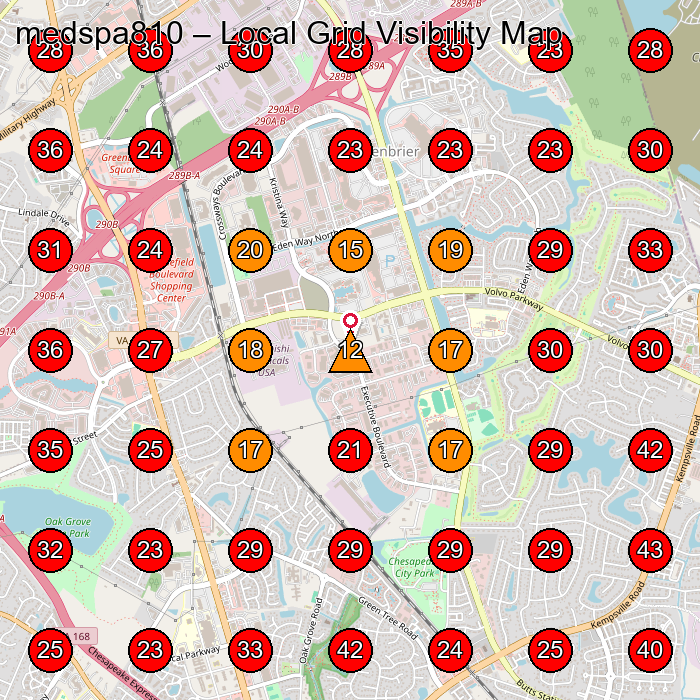 medspa810 GeoGrid visibility map for Pet Groomer in Virginia Beach