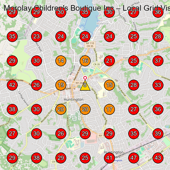 Morolay Children's Boutique Inc GeoGrid visibility map for Children'S Clothing Store in Woodbury