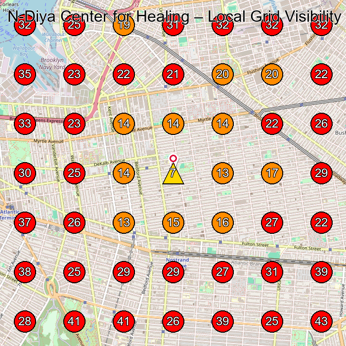 N-Diya Center for Healing GeoGrid visibility map for Training Centre in Brooklyn