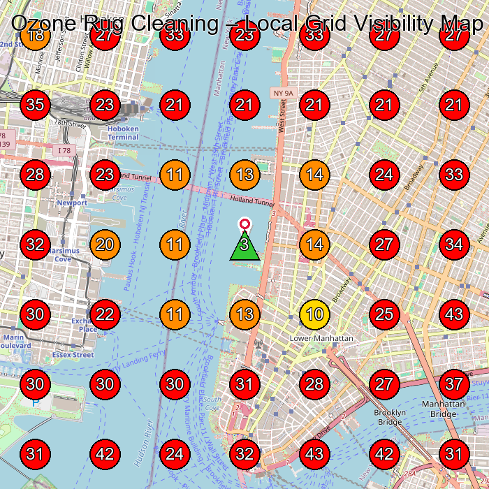Ozone Rug Cleaning GeoGrid visibility map for Carpet Cleaning Service in New York