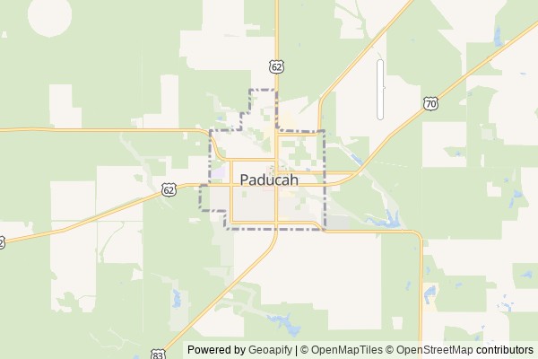 Paducah digital marketing agency - Local SEO in Paducah TX - GeoGrid map of Paducah NY visibility