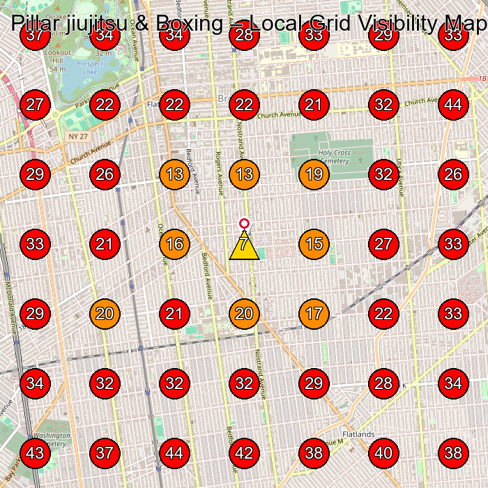 Pillar jiujitsu & Boxing GeoGrid visibility map for Martial Arts School in Brooklyn