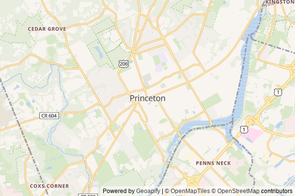 Princeton digital marketing agency - Local SEO in Princeton NJ - GeoGrid map of Princeton NY visibility