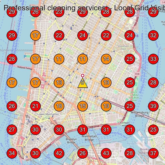 Professional cleaning services GeoGrid visibility map for House Cleaning Service in New York