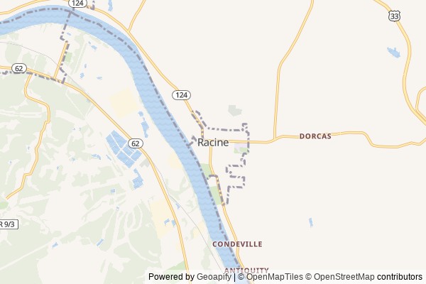 Racine digital marketing agency - Local SEO in Racine OH - GeoGrid map of Racine NY visibility